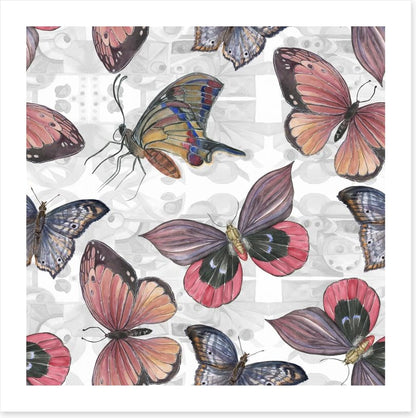 Butterflies