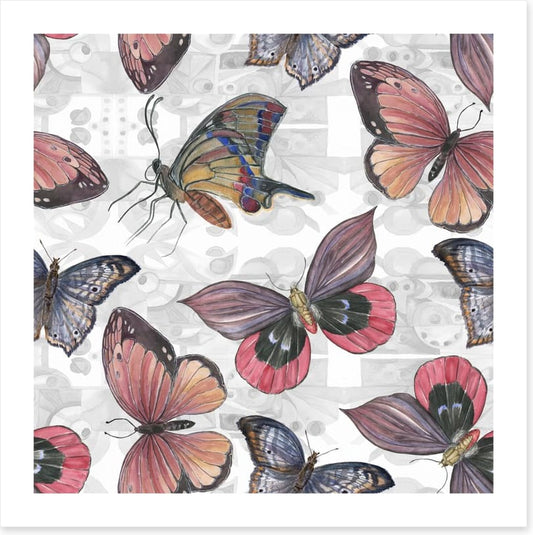 Butterflies