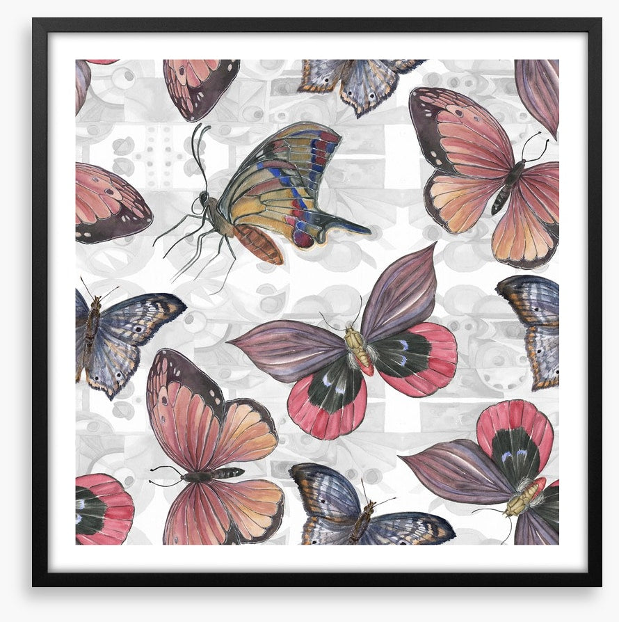 Butterflies