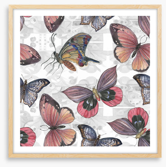 Butterflies