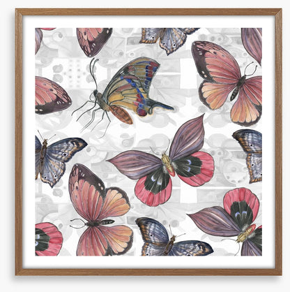 Butterflies