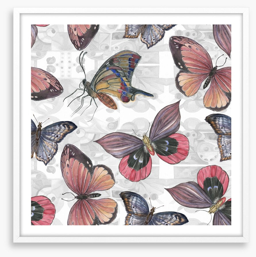 Butterflies