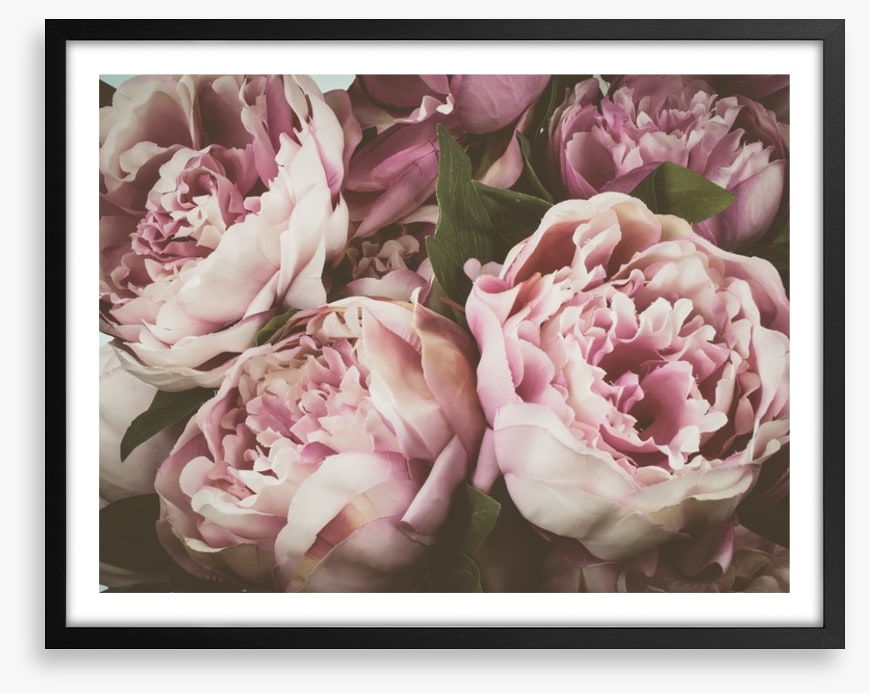 Vintage peony