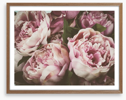 Vintage peony