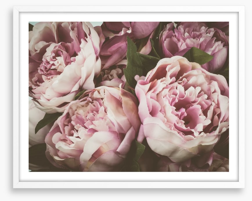 Vintage peony