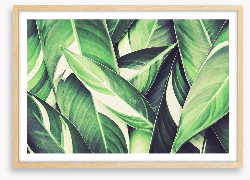 Retro leaves