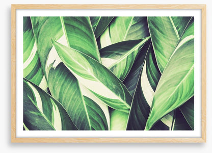 Retro leaves
