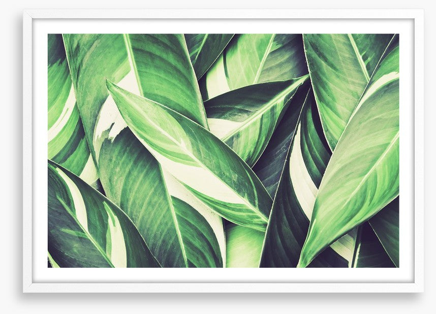Retro leaves