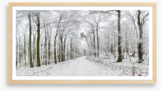 Into the snow forest