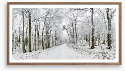 Into the snow forest