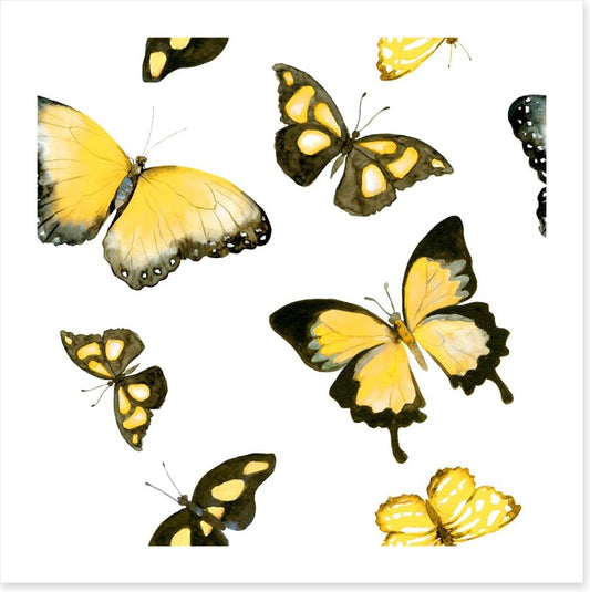Butterflies