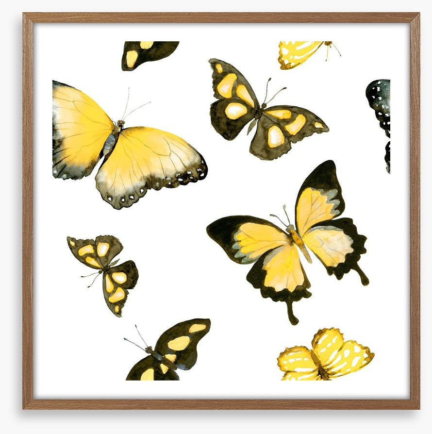 Butterflies