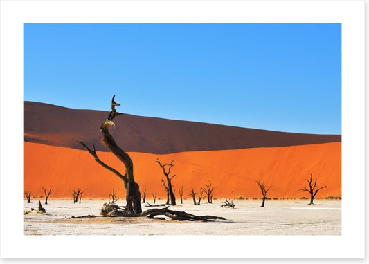 Africa