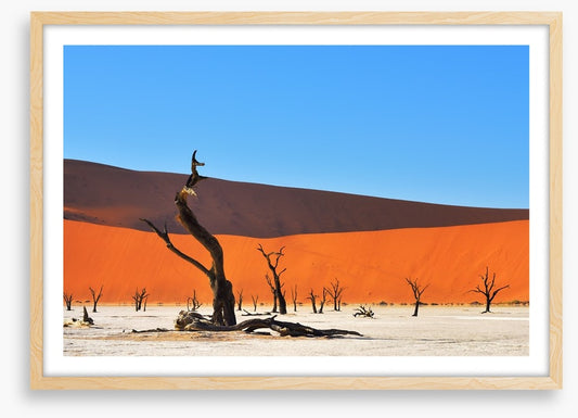 Africa