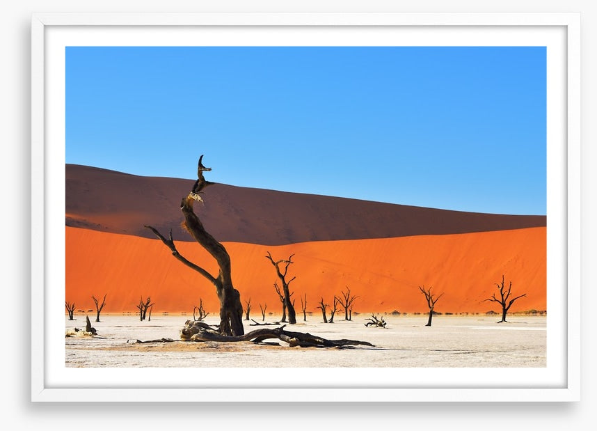 Africa