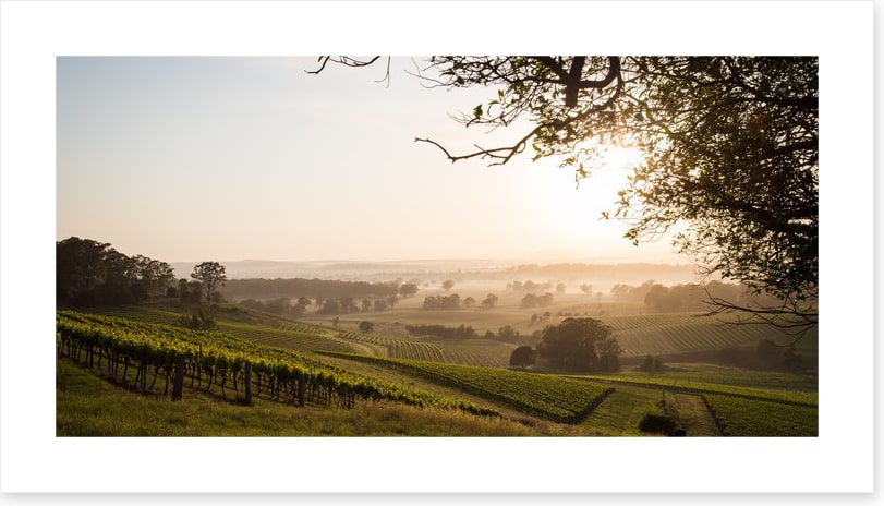 Hunter Valley dawn