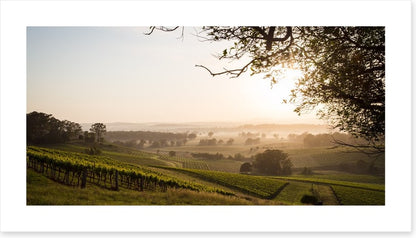 Hunter Valley dawn