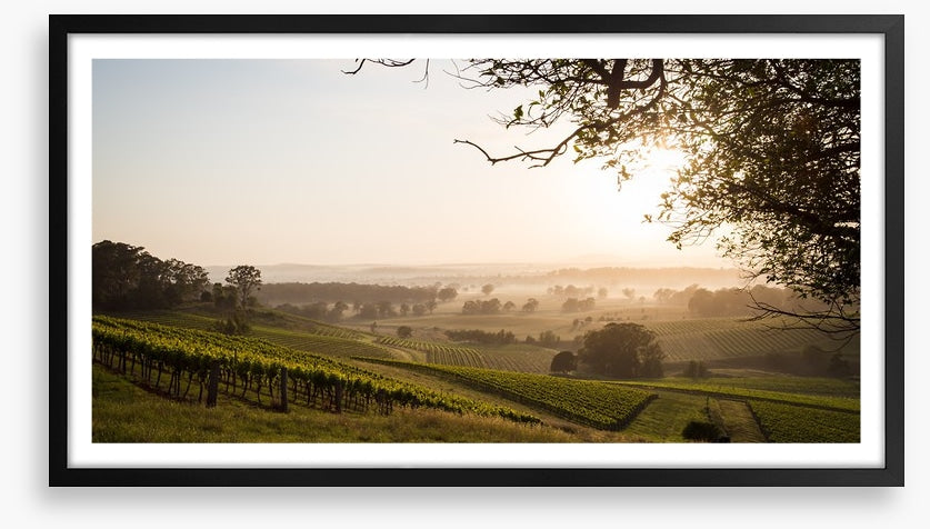 Hunter Valley dawn