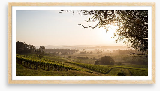 Hunter Valley dawn