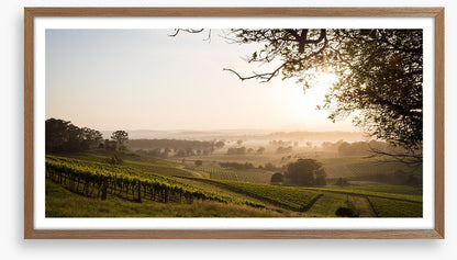 Hunter Valley dawn