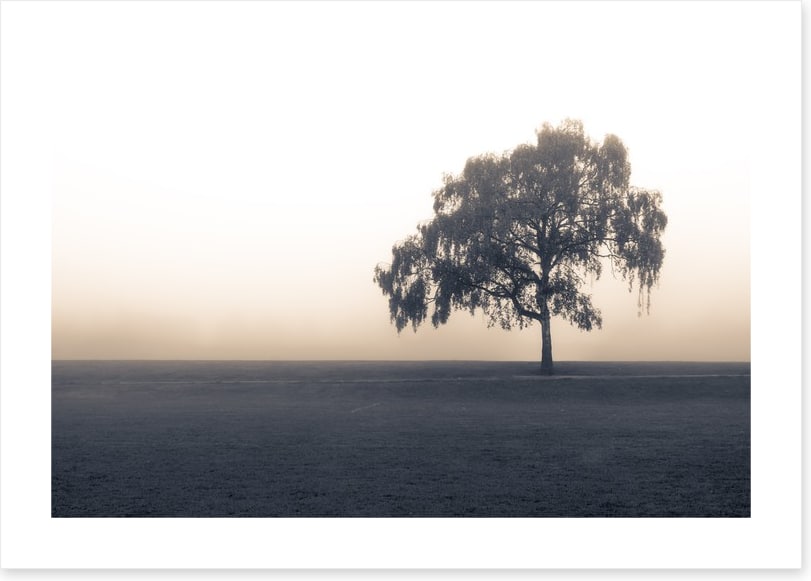 Free of the fog