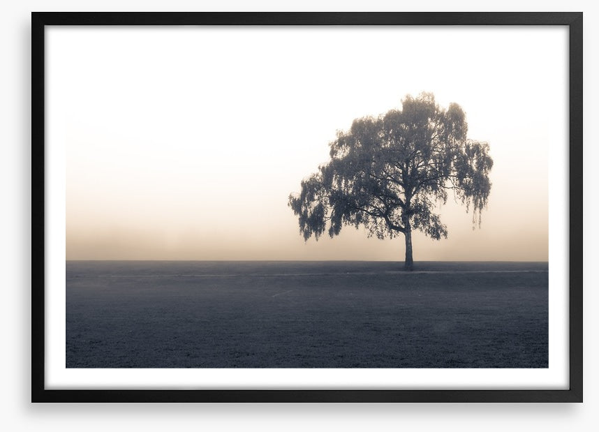Free of the fog