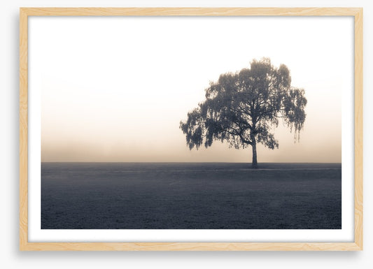 Free of the fog