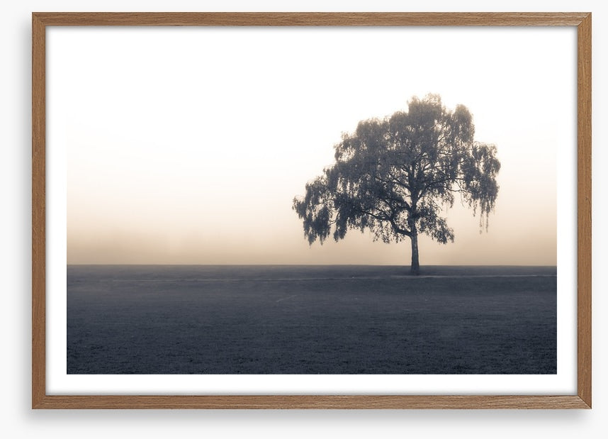 Free of the fog