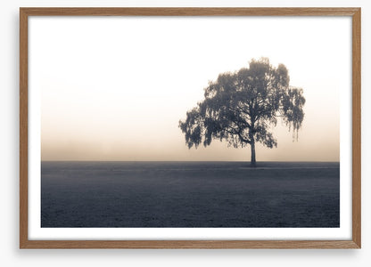 Free of the fog