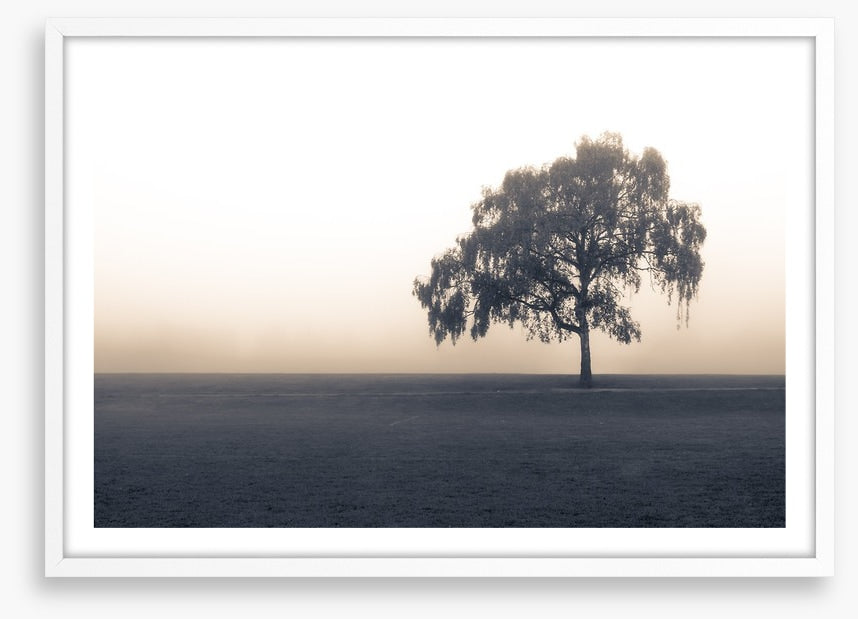 Free of the fog