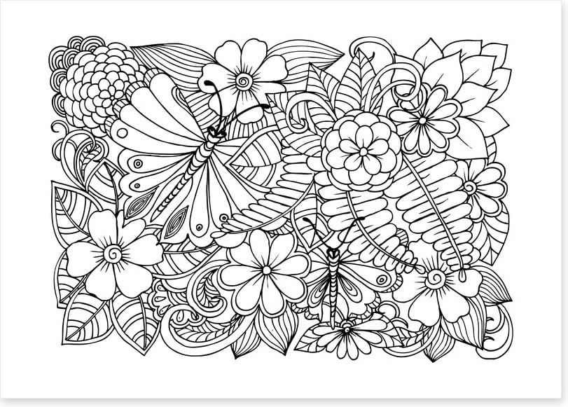 Colour me garden