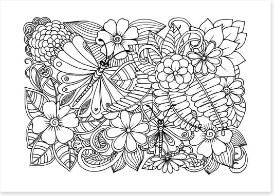 Colour me garden