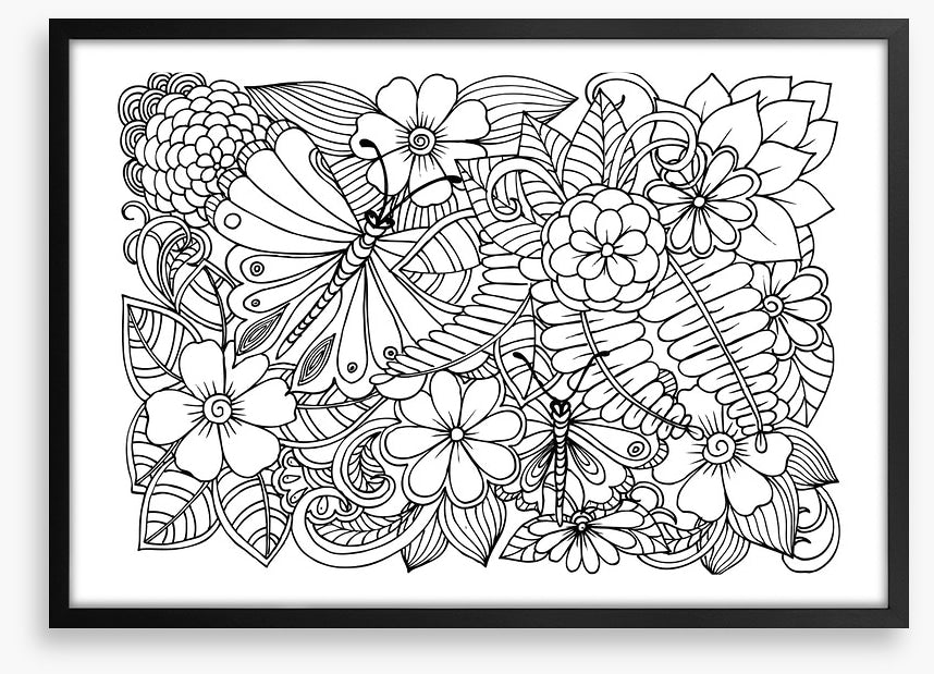 Colour me garden