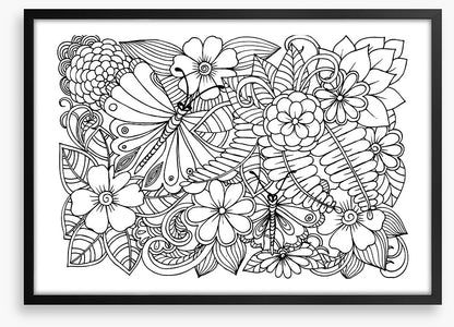 Colour me garden