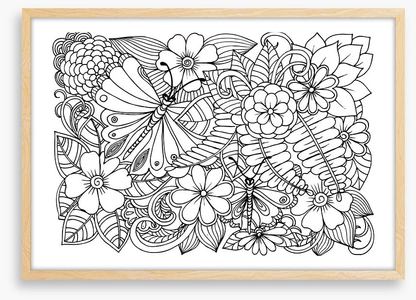 Colour me garden