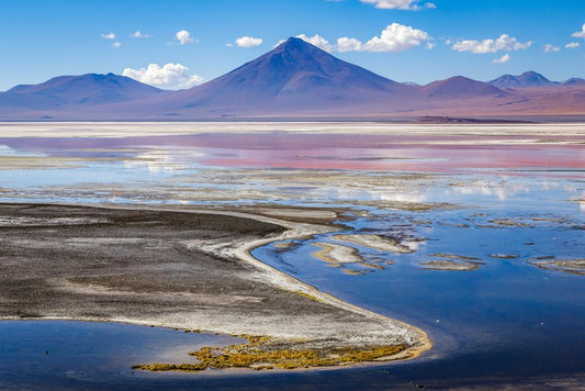 South America