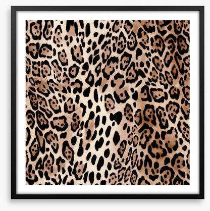 Animal Print