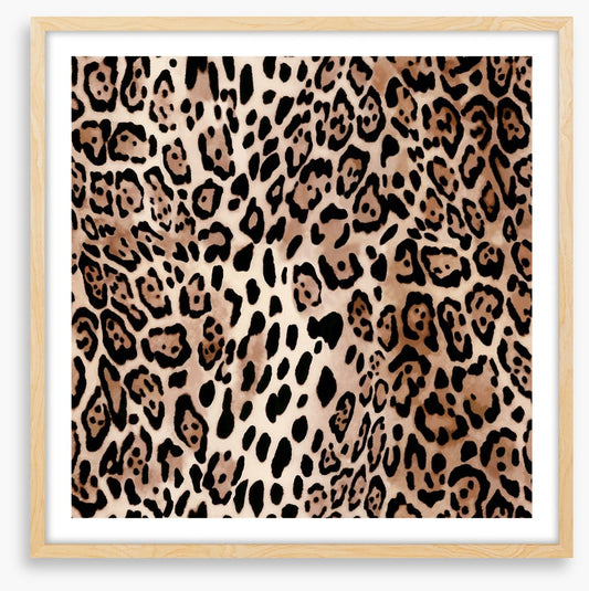 Animal Print