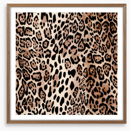 Animal Print