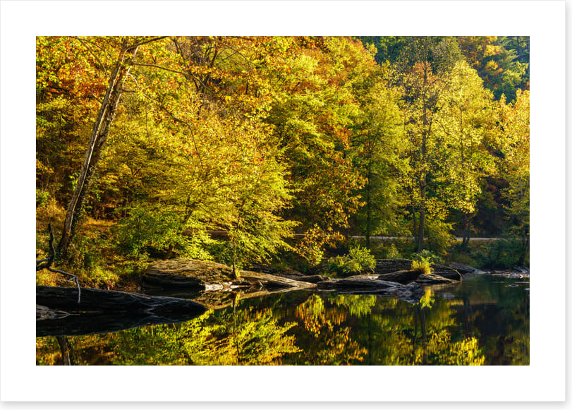 Along the river