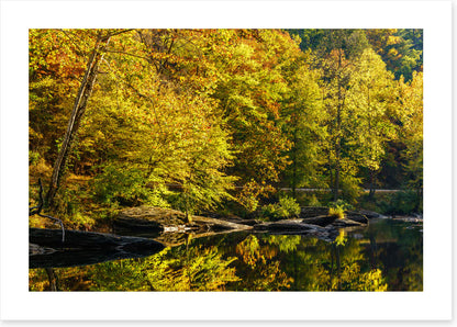 Along the river