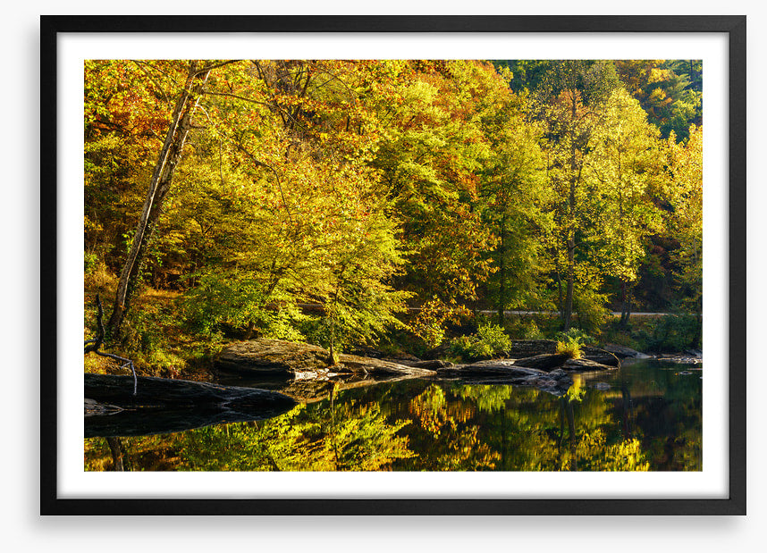 Along the river