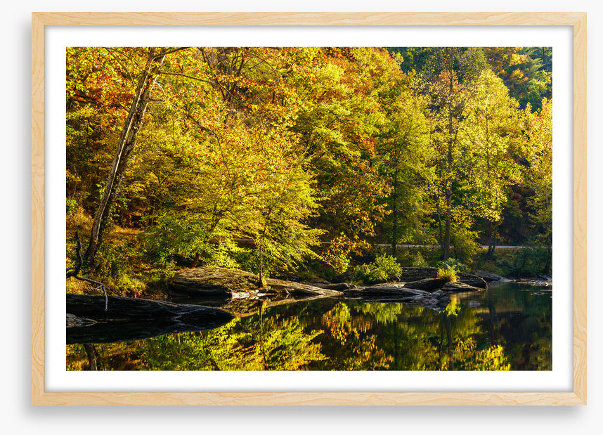 Along the river