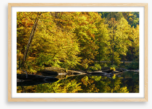 Along the river