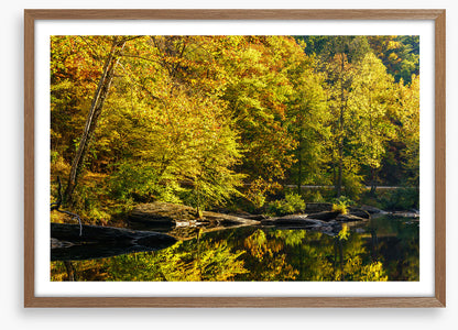 Along the river