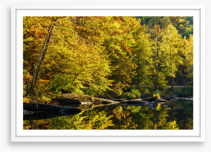 Along the river