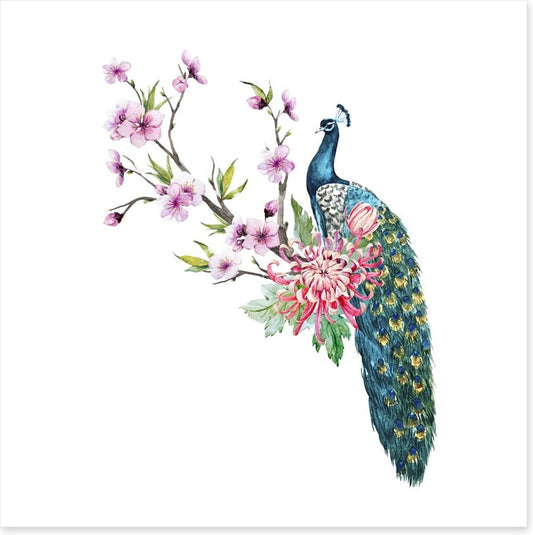 Tropical peacock