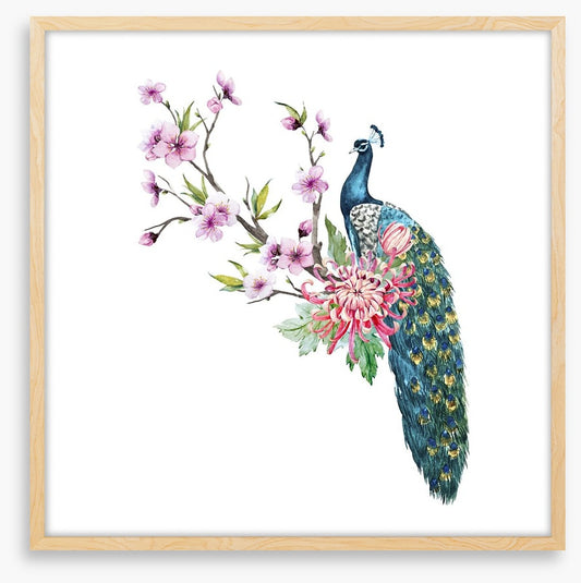 Tropical peacock