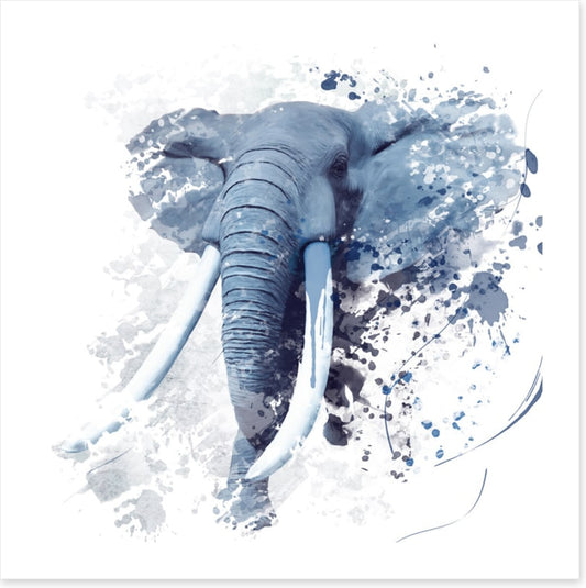 Elephant run