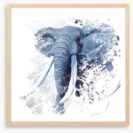Elephant run